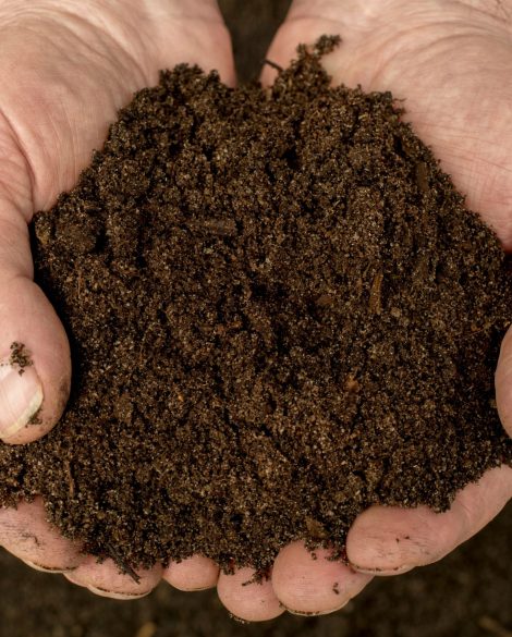 Free Coffee Grounds in Sydney